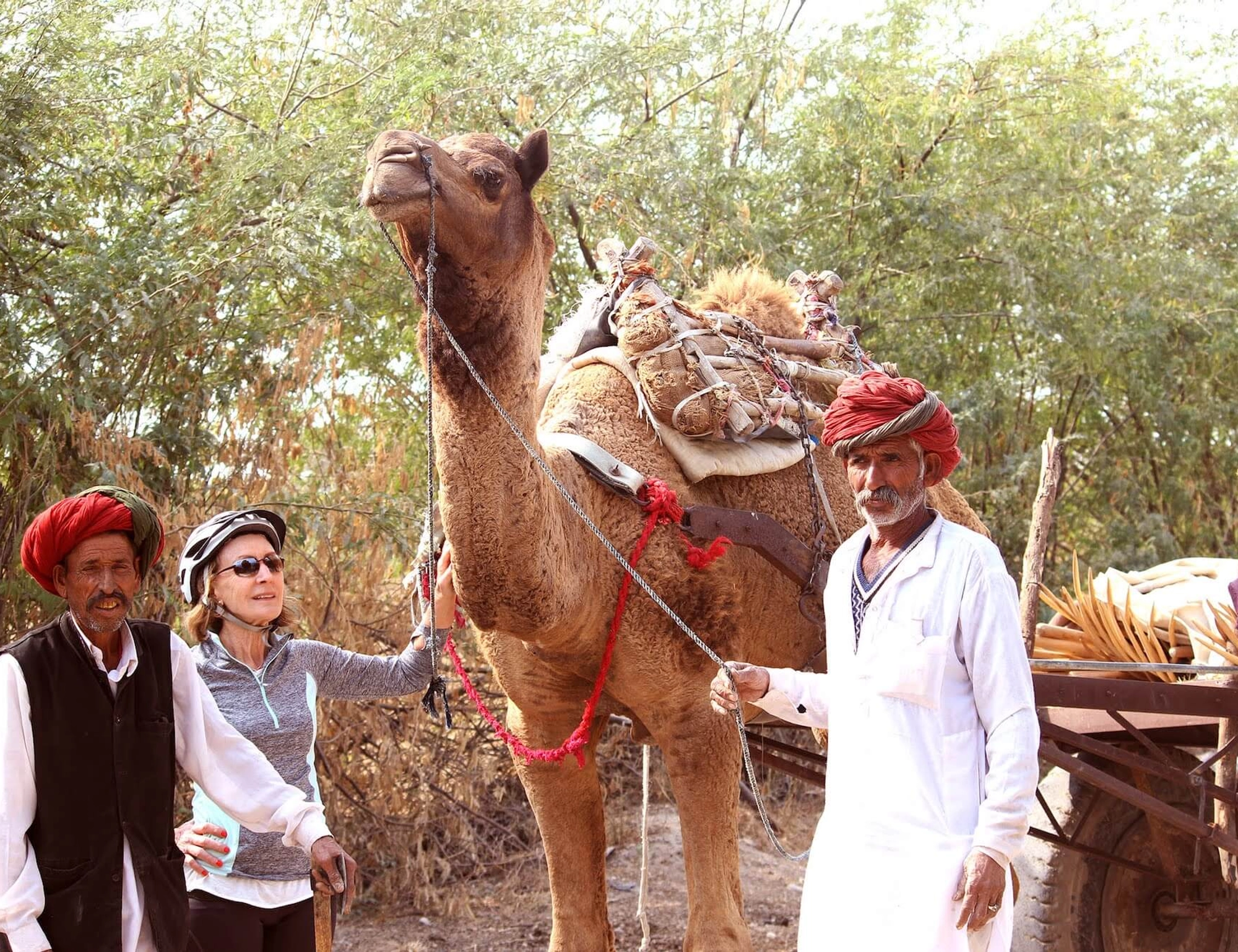 8 Days Rajasthan Short Experience Bike Tour